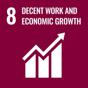 8. Promote sustained, inclusive and sustainable economic growth, full and productive employment and decent work for all